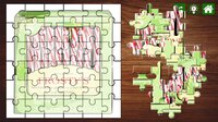 Hentai Jigsaw Puzzle Collection: Christmas Edition screenshot, image №3723114 - RAWG