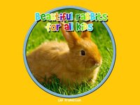 beautiful rabbits for all kids - free game screenshot, image №1866779 - RAWG