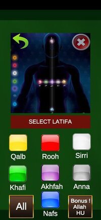 Tasbeeh Counter 7 Lataif Zikir Meditation App for Sufis screenshot, image №3203718 - RAWG