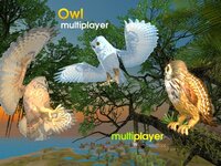 Owl Multiplayer screenshot, image №2710203 - RAWG