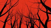 Black&Red (bunkum) screenshot, image №1226201 - RAWG