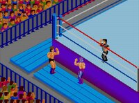 Fire Pro Wrestling Combination Tag screenshot, image №3943749 - RAWG