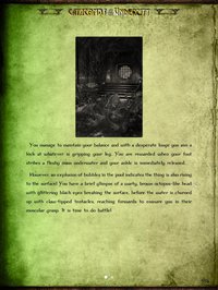 Gamebook Adventures 5: Catacombs of the Undercity screenshot, image №2146576 - RAWG