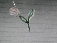 Doodlera: Drawn Existence screenshot, image №2362941 - RAWG