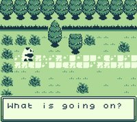 Team Super Panda screenshot, image №2326063 - RAWG