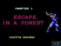 Ninja Gaiden (Master System) screenshot, image №2149692 - RAWG