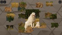 Puzzles for smart: Dogs screenshot, image №840134 - RAWG