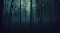 Twine Project - Into the Woods screenshot, image №1783763 - RAWG