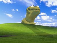 Kermit Run screenshot, image №2789029 - RAWG