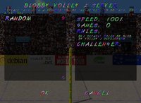 Blobby Volley 2 screenshot, image №1828660 - RAWG