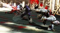 Ninja Gaiden 3 screenshot, image №277317 - RAWG