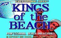 Kings of the Beach screenshot, image №736454 - RAWG