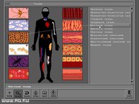 Body Quest screenshot, image №344325 - RAWG