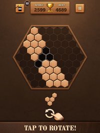 Wooden Hexagon Fit: Hexa Block screenshot, image №903116 - RAWG