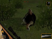 Deer Hunter 2005 screenshot, image №405137 - RAWG