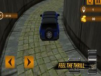 Tourist Rally: Offroad Driving screenshot, image №1324816 - RAWG