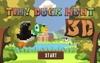 Tiny Duck Hunt 3D screenshot, image №4169399 - RAWG
