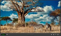 Animals Of Africa screenshot, image №3413556 - RAWG
