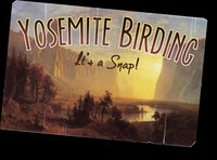 Yosemite Birding: It's a Snap! screenshot, image №1086392 - RAWG