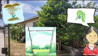 Bobo Mama Garden screenshot, image №3829764 - RAWG