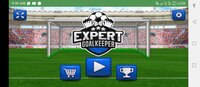 Expert goalkeeper 2022 screenshot, image №3433306 - RAWG