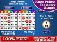 Totally Bingo! by Boy Howdy screenshot, image №888741 - RAWG