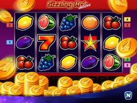 Sizzling Hot Deluxe Slot screenshot, image №1928294 - RAWG