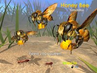 Honey Bee Simulator screenshot, image №974453 - RAWG