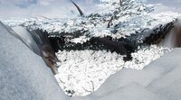 Animal Quest (itch) (Blallade) screenshot, image №3344313 - RAWG