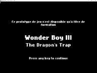 Wonder Boy III: The Dragon's Trap screenshot, image №1126612 - RAWG