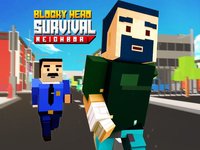 Blocky Hero Survival Neighbor screenshot, image №1657519 - RAWG