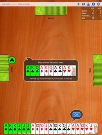Pinochle Plus screenshot, image №947940 - RAWG