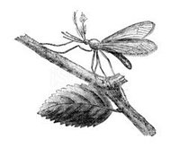 O Mosquito Thomas screenshot, image №1701958 - RAWG