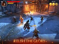 Iron Blade: Medieval Legends RPG screenshot, image №239444 - RAWG