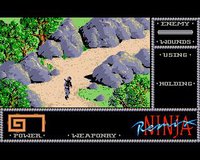 The Last Ninja screenshot, image №736501 - RAWG