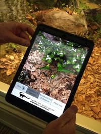 The AR Perpetual Garden Apps screenshot, image №2385476 - RAWG