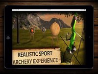 Archery Champion PRO (ADS FREE) 3D Bow Tournament Master, Sport Shooting Game screenshot, image №981562 - RAWG