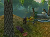 World of Warcraft screenshot, image №351887 - RAWG