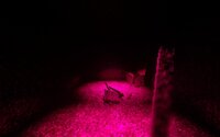 Freezer (skooka) screenshot, image №3139212 - RAWG
