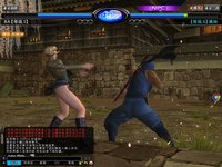 Dead or Alive Online screenshot, image №480226 - RAWG