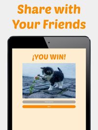 Cute Kitten Photos Puzzle screenshot, image №2190586 - RAWG