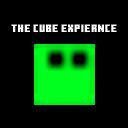 The Cube Experience (TostiGamer) screenshot, image №2506224 - RAWG