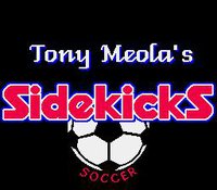 Tony Meola's Sidekicks Soccer screenshot, image №763116 - RAWG