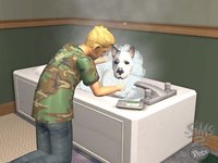 The Sims 2: Pets screenshot, image №457889 - RAWG