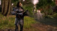 The Elder Scrolls Online screenshot, image №593889 - RAWG