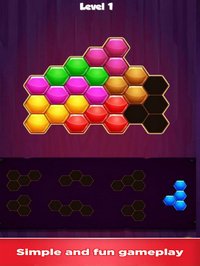 Block Hexagon 1010 Fun screenshot, image №1885671 - RAWG