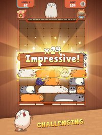 Haru Cats: Slide Block Puzzle screenshot, image №2125285 - RAWG