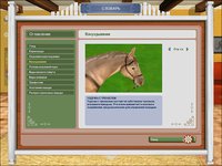 Pferd & Pony: Lass uns reiten 2 screenshot, image №513547 - RAWG