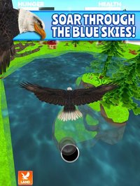 Virtual Pet Eagle screenshot, image №956931 - RAWG