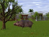 Wildlife Park 2 screenshot, image №151613 - RAWG